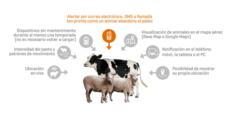 Localizador GPS con batería estándar LTE (GL520) y paquete de software básico de seguimiento GPS de ubicación de ganado - Imagen 4