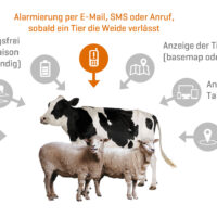 gps für viehortung